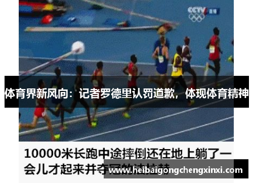 体育界新风向：记者罗德里认罚道歉，体现体育精神